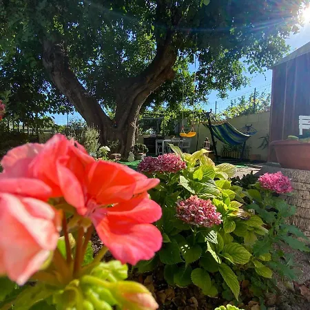 בית נופש La Casa Del Carrubo קליארי